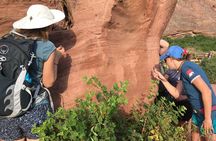 Ancient Landscapes Private Geology Hike at Garden of the Gods