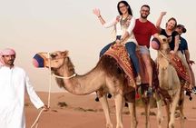 Morning Desert Safari with Camel Ride and Sand boarding