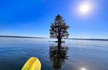 Morning Guided Kayak Tour
