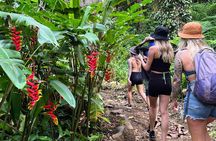 Voted #1 on Maui. VIP, Private Road to Hana backstage pass tour
