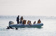 One Hour Cathedral Cove Boat Tour in Hahei 