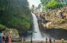 Ubud Experience | Full Day Private Tour in Ubud | FREE WIFI