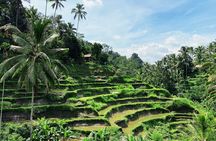 Ubud Experience | Full Day Private Tour in Ubud | FREE WIFI