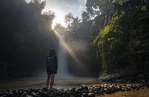 Ubud Day Tour - Top Things to do in Ubud + Local Ubud Guide 