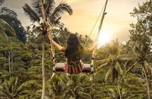Ubud Day Tour - Top Things to do in Ubud + Local Ubud Guide 