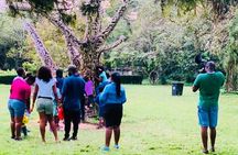 A journey to The Boti Twins Falls & Aburi Botanical Garden 