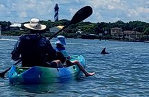 Kayaking St. Augustine's Original Dolphin Tour