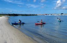Kayaking St. Augustine's Original Dolphin Tour