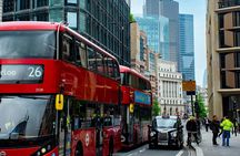 London Fully Tailored Private Tour: Half-Day with Local Guide