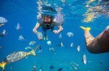 Sosua Party Boat -Snorkeling-Brunch-Drinks-Snacks-Transportation