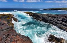 Big Island Southside ATV Tour