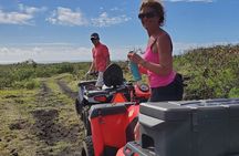 Big Island Southside ATV Tour
