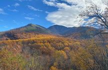 The "Classic" National Park Tour