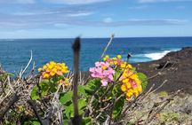 Big Island Southside ATV Tour