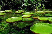 Wild Amazonas Adventure 4-Day Tour