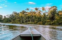 Wild Amazonas Adventure 4-Day Tour