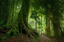 Wild Amazonas Adventure 4-Day Tour
