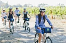 Full-Day Napa Valley E-Bike Tour with Picnic Lunch