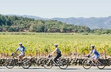 Half-Day Napa Valley E-Bike Tour