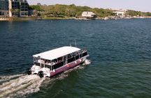 Family-Friendly Snorkeling and Dolphin Tour from FWB