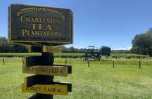 Wine Sippin'-Tea Drinkin'-Tree Huggin' Lowcountry Sightseeing