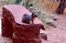 Zion National Park Tour