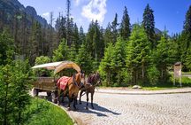 Tatra Mountains and Zakopane Full-Day Tour from Krakow