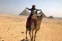 Private guided tour to Giza pyramids, Camel ride, and lunch. 