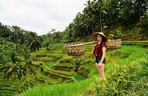 Best of Ubud 1-Day Private Tour