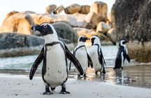 Cape Town Atlantic Helicopter Private Tour including Penguins Cape Point & Lunch