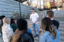 Nashville Downtown Insta Mural Shared Walking Tour