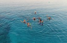 Blue Lagoon Cruise with Sightseeing from Latchi Harbour