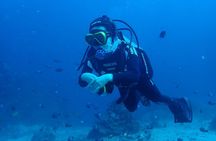 2-Day Private Boracay PADI Open Water Diver Course