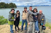 Segway Coastal Scenic Rainforest Tour