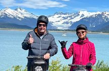 Segway Coastal Scenic Rainforest Tour