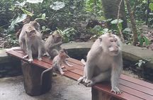 Bali Ubud Full Day All-Inclusive Private Tour – Best Private Tour