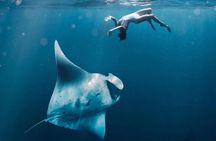 Snorkeling Manta Rays and Land Tour Nusa Penida <> All-Included