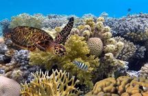 Snorkeling Manta Rays and Land Tour Nusa Penida <> All-Included