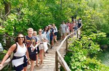 Plitvice Lakes National Park Guided Day Tour from Split