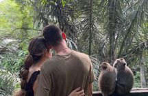 Private tour, discover the beauty of bali