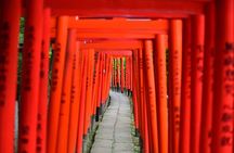 Professionally guided Tokyo Private Walking Tour 