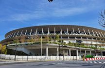 Professionally guided Tokyo Private Walking Tour 