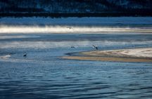 Bleu Day Tour: Fjord and Landscape by Creative Vacations