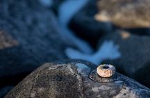 Bleu Day Tour: Fjord and Landscape by Creative Vacations
