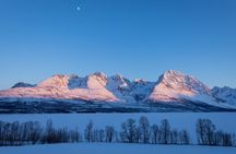 Bleu Day Tour: Fjord and Landscape by Creative Vacations