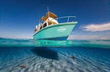 El Cielo Cozumel Snorkeling Tour - All-Inclusive