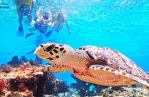 El Cielo Cozumel Snorkeling Tour - All-Inclusive