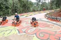 Skyline Jungle Luge