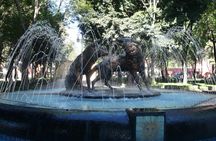 Xochimilco, Coyoacan and Frida Kahlo Museum Tour