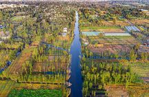 Xochimilco, Coyoacan and Frida Kahlo Museum Tour